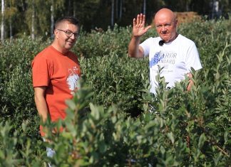 Podsumowanie borówkowego sezonu 23. Pogoda rozdała karty!