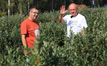 Podsumowanie borówkowego sezonu 23. Pogoda rozdała karty!