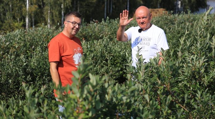 Podsumowanie borówkowego sezonu 23. Pogoda rozdała karty!