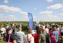 Program Borówkowego Factory 2024. To już 5 edycja!