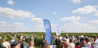 Program Borówkowego Factory 2024. To już 5 edycja!