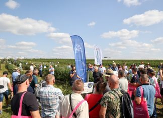 Program Borówkowego Factory 2024. To już 5 edycja!