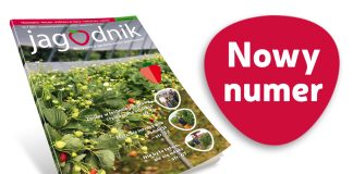 Jagodnik 7/2023 już w sprzedaży