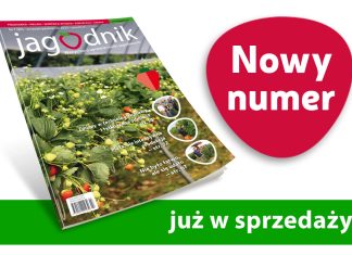 Jagodnik 7/2023 już w sprzedaży