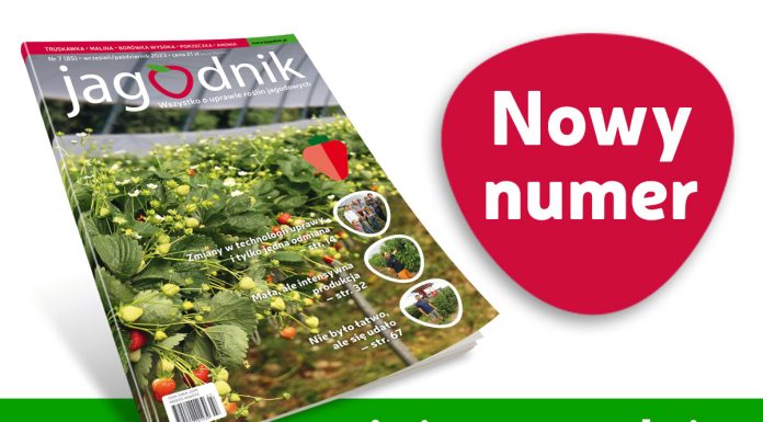 Jagodnik 7/2023 już w sprzedaży