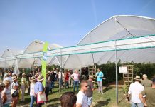 Malinowe Factory 2023 – finałowe spotkanie