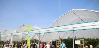 Malinowe Factory 2023 – finałowe spotkanie