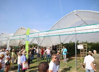 Malinowe Factory 2023 – finałowe spotkanie