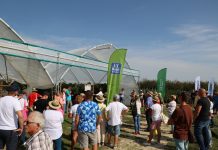 Malinowe Factory 2024 – program szkolenie (7 września)