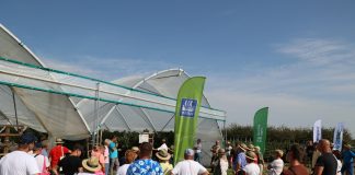 Malinowe Factory 2024 – program szkolenie (7 września)