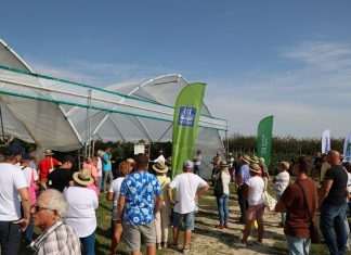 Malinowe Factory 2024 – program szkolenie (7 września)