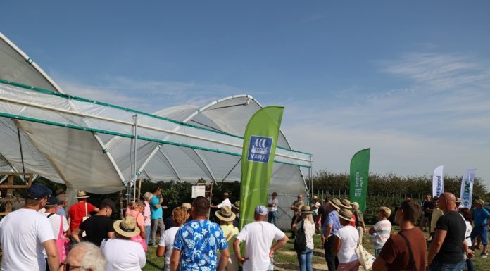 Malinowe Factory 2024 – program szkolenie (7 września)