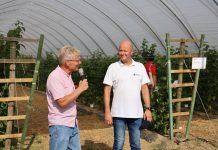 Dobrze zaprojektowana malina