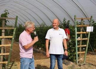 Dobrze zaprojektowana malina