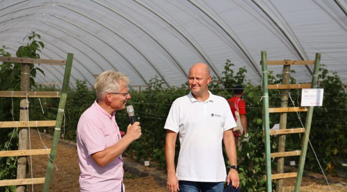 Dobrze zaprojektowana malina