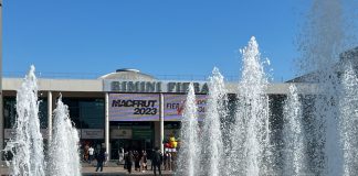 Zapowiedź targów Macfrut 2024