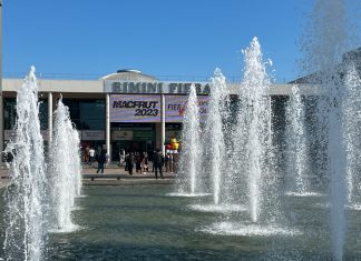 Zapowiedź targów Macfrut 2024