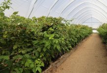 Jak działa automatyczna wentylacja tuneli EZvent?