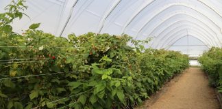 Jak działa automatyczna wentylacja tuneli EZvent?