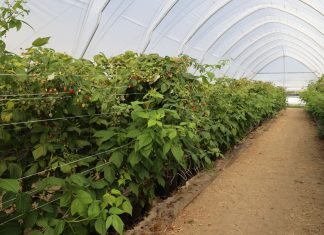 Jak działa automatyczna wentylacja tuneli EZvent?