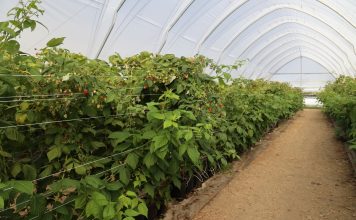 Jak działa automatyczna wentylacja tuneli EZvent?