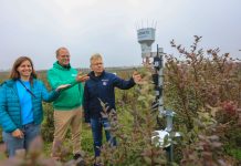 Co czują rośliny? Rolnictwo 4.0