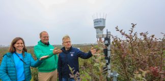 Co czują rośliny? Rolnictwo 4.0