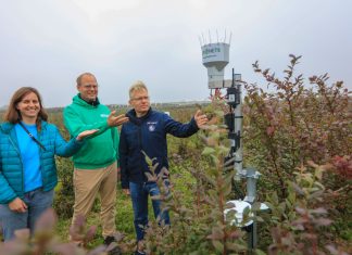 Co czują rośliny? Rolnictwo 4.0