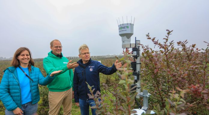 Co czują rośliny? Rolnictwo 4.0