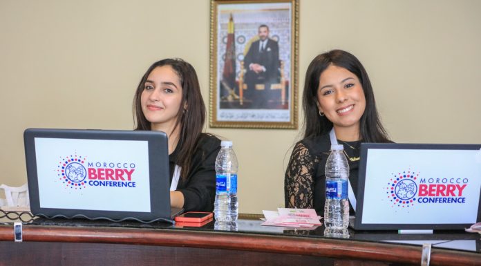 Jagodowy biznes w Maroko. Wcale nie jest kolorowo