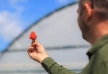 Co jest najważniejsze w jagodowym biznesie?