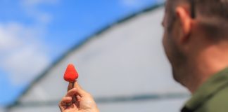 Co jest najważniejsze w jagodowym biznesie?