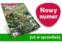 Jagodnik 8/2023 – już w sprzedaży