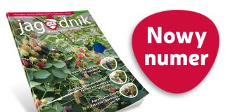 Jagodnik 8/2023 – już w sprzedaży