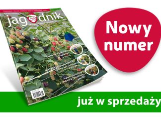 Jagodnik 8/2023 – już w sprzedaży