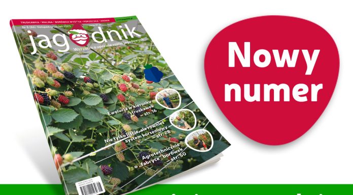 Jagodnik 8/2023 – już w sprzedaży
