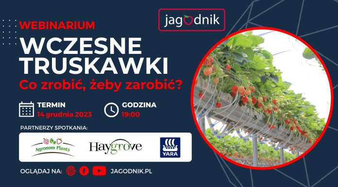 Webinarium: Wczesne truskawki – co zrobić, żeby zarobić?