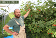 #Prawdziwe historie – ogrodnik z Klementowic