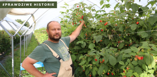 #Prawdziwe historie – ogrodnik z Klementowic