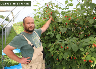 #Prawdziwe historie – ogrodnik z Klementowic