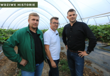 #Prawdziwe historie v3 – to nie jest biznes dla mięczaków