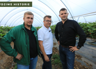 #Prawdziwe historie v3 – to nie jest biznes dla mięczaków