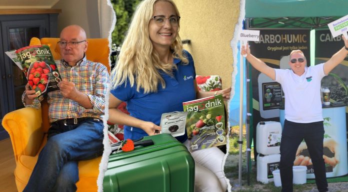 Jagodnik – dlaczego warto czytać?