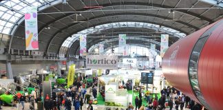 Wejście na TSW 2024 – jak ominąć kolejki i taniej kupić bilet