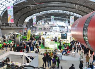 Wejście na TSW 2024 – jak ominąć kolejki i taniej kupić bilet