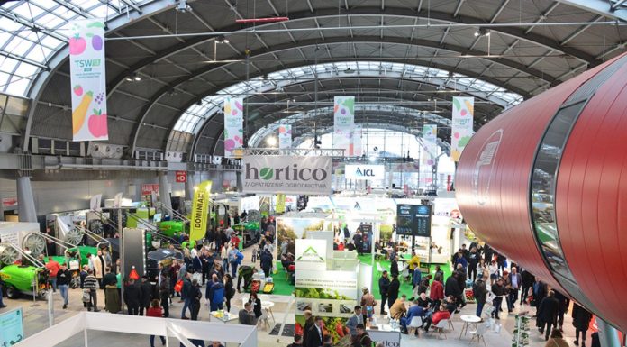 Wejście na TSW 2024 – jak ominąć kolejki i taniej kupić bilet