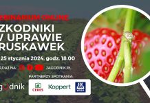 Szkodniki w uprawie truskawek – zapraszamy na webinarium!