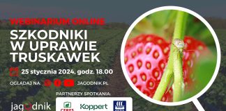 Szkodniki w uprawie truskawek – zapraszamy na webinarium!