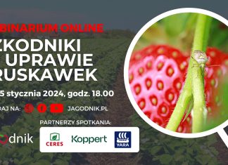Szkodniki w uprawie truskawek – zapraszamy na webinarium!