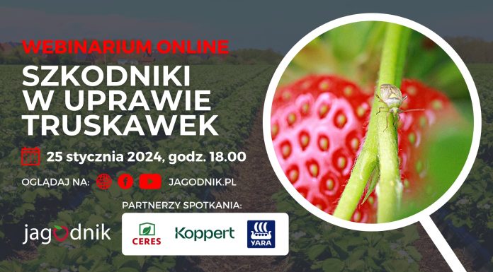 Szkodniki w uprawie truskawek – zapraszamy na webinarium!